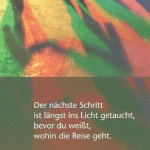 ins-licht-get