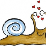 schnecke-selbstliebe